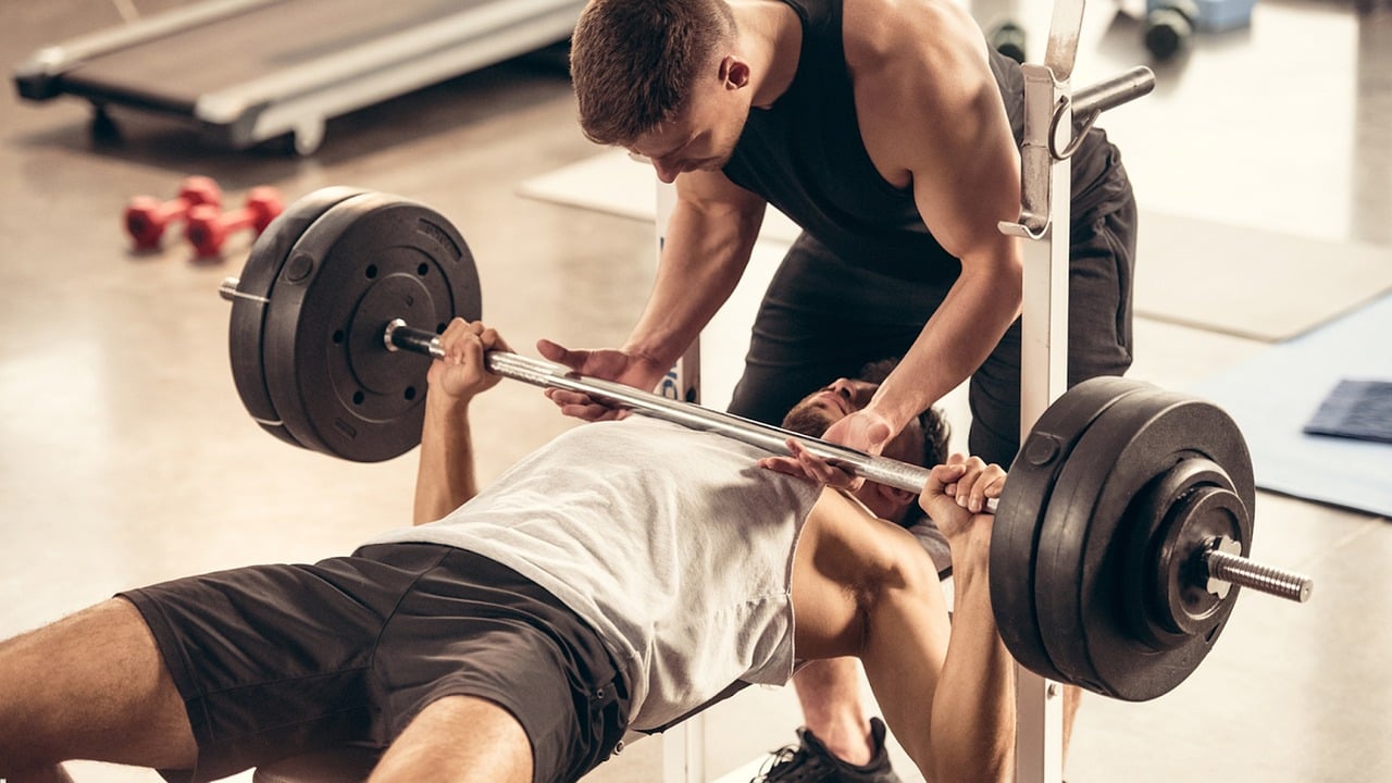 Gym exercises at home , workout plans for more